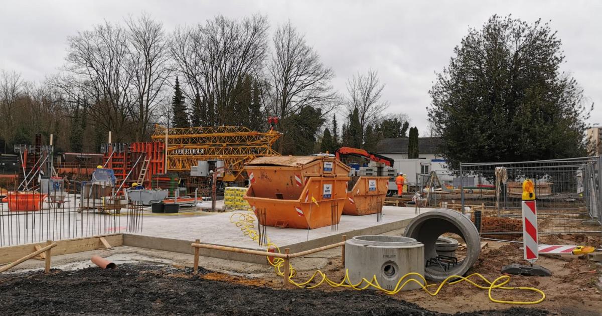 Projekt in Mülheim BRAUSCH Garten und Landschaftsbau
